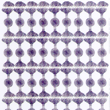 marimekko�@�}�����b�R�@�t�@�u���b�N�@���n�@TUKAANI