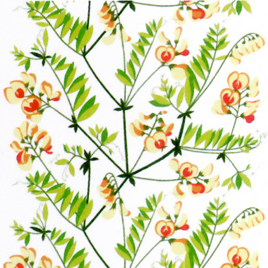 marimekko�@�}�����b�R�@�t�@�u���b�N�@���n�@HIIRENVIRNA
